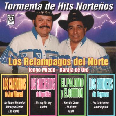 Tormenta De Hits Nortenos's cover