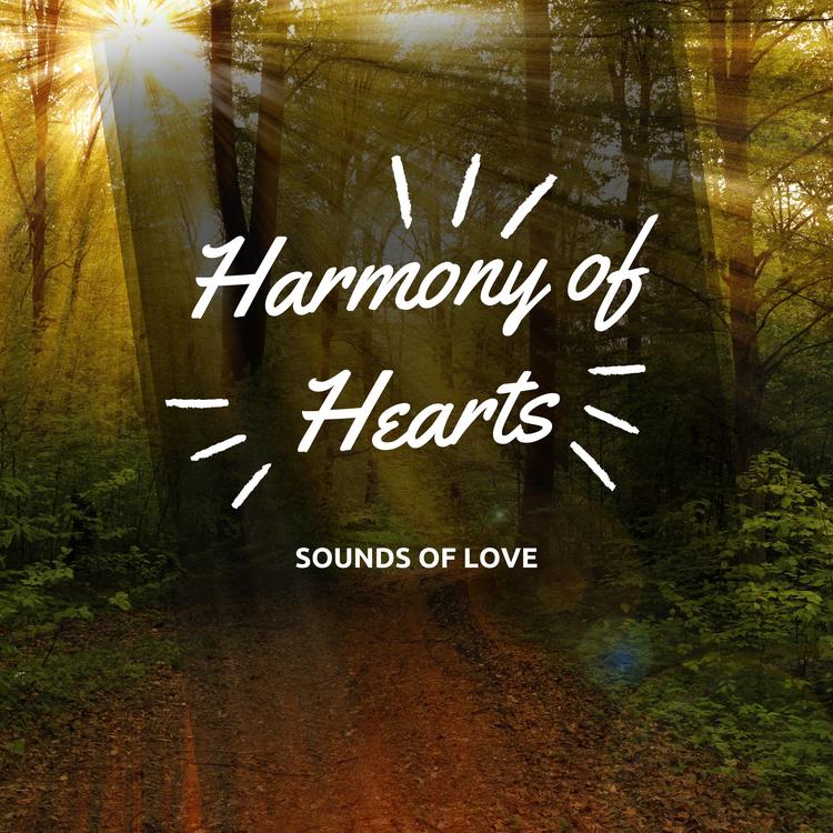 Sounds of Love's avatar image