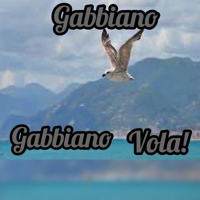 Gabbiano Vola!'s cover