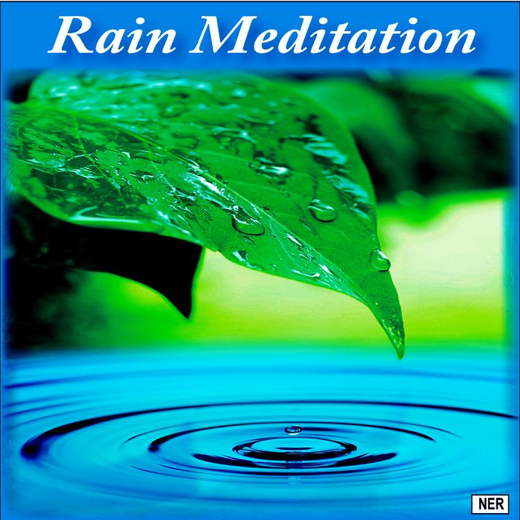 Rain Meditation's avatar image