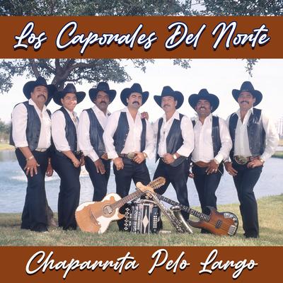 Chaparrita Pelo Largo's cover