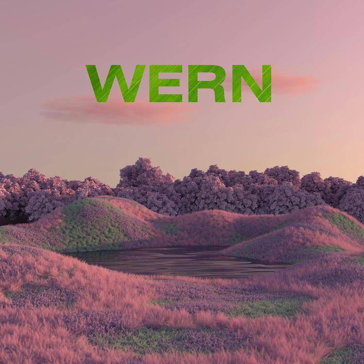 Wern's avatar image