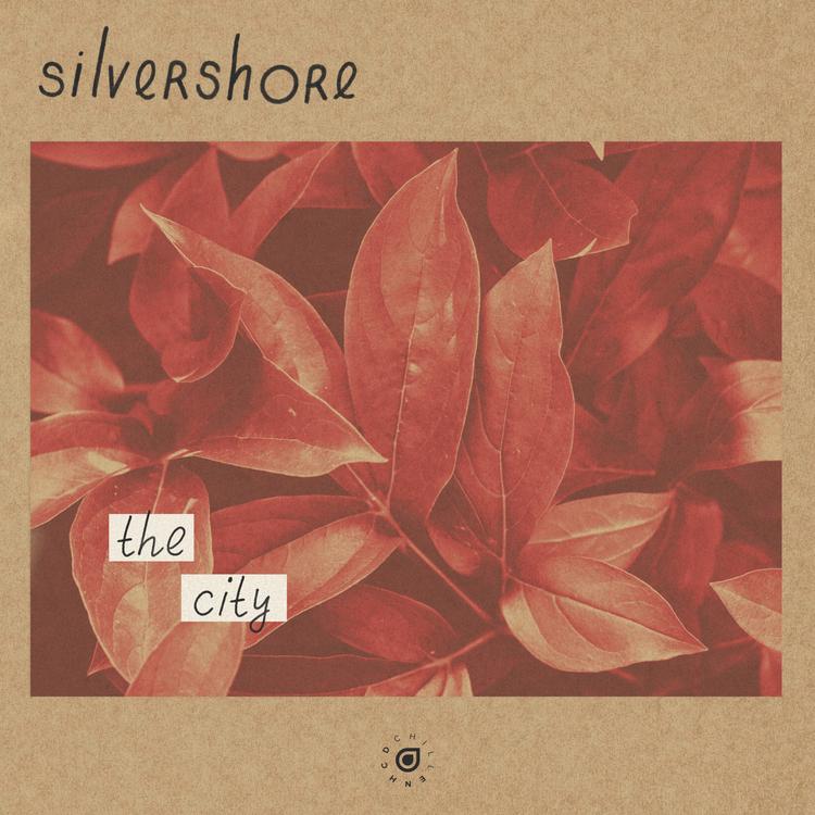 silvershore's avatar image