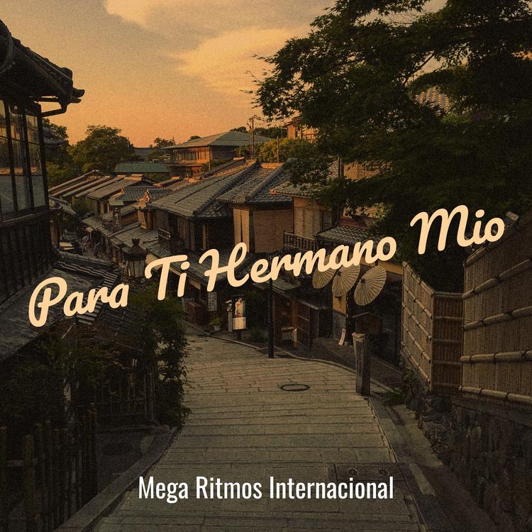 Mega Ritmos Internacional's avatar image