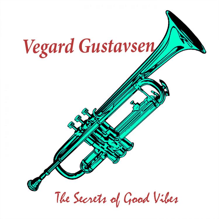 Vegard Gustavsen's avatar image