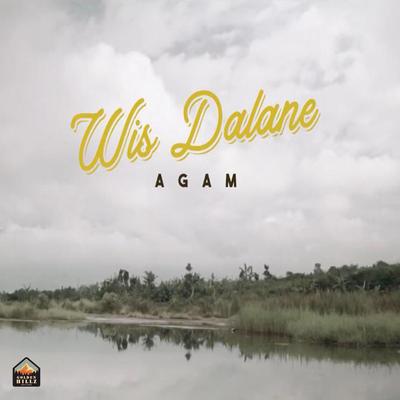 Wis Dalane's cover