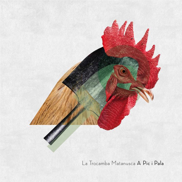 La Trocamba Matanusca's avatar image
