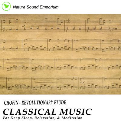 Chopin - Revolutionary Etude By Nature Sound Emporium's cover
