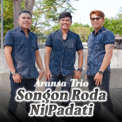 Aransa Trio's cover