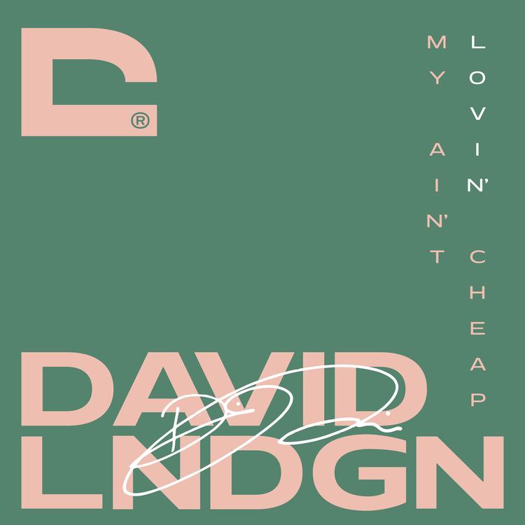 David Lindgren's avatar image