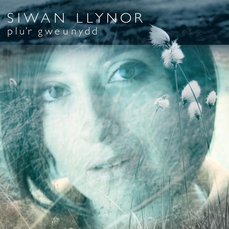 Siwan Llynor's avatar image