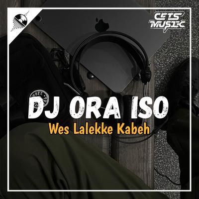 DJ ORA ISO - WES LALEKKE KABEH KENANGAN SING TAU ONO's cover