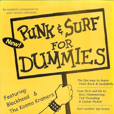 Punk And Surf For Dummies Split's cover