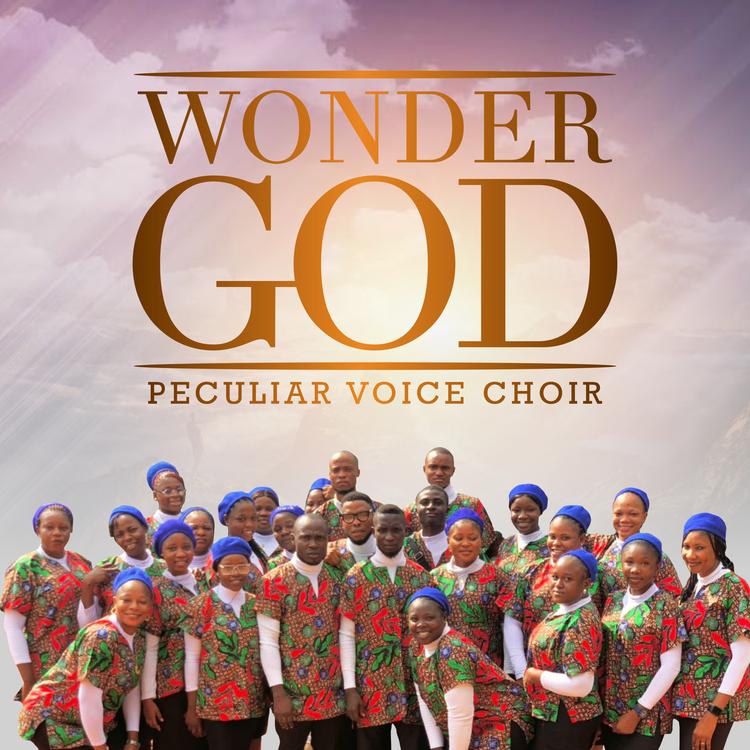 Peculiar Voice Choir's avatar image