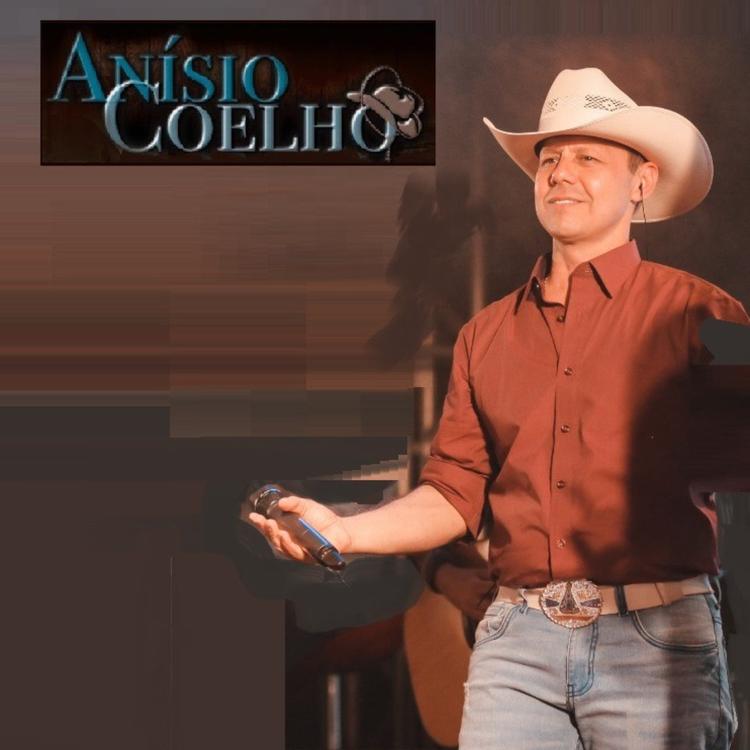 Anísio Coelho's avatar image