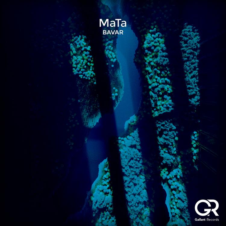 MaTa's avatar image