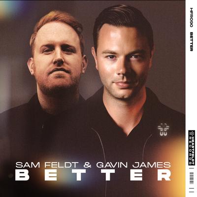 Better (Extended Mix) By Sam Feldt, Gavin James's cover