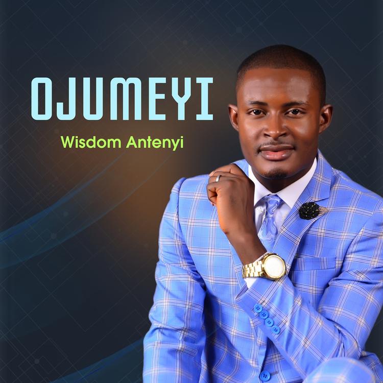 Wisdom Antenyi's avatar image