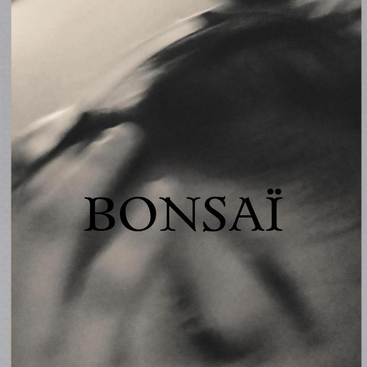 Bonsai.'s avatar image
