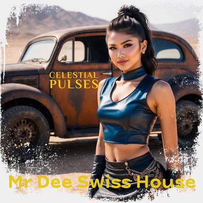 Mr Dee Swiss House's cover