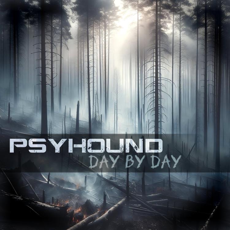 Psyhound's avatar image