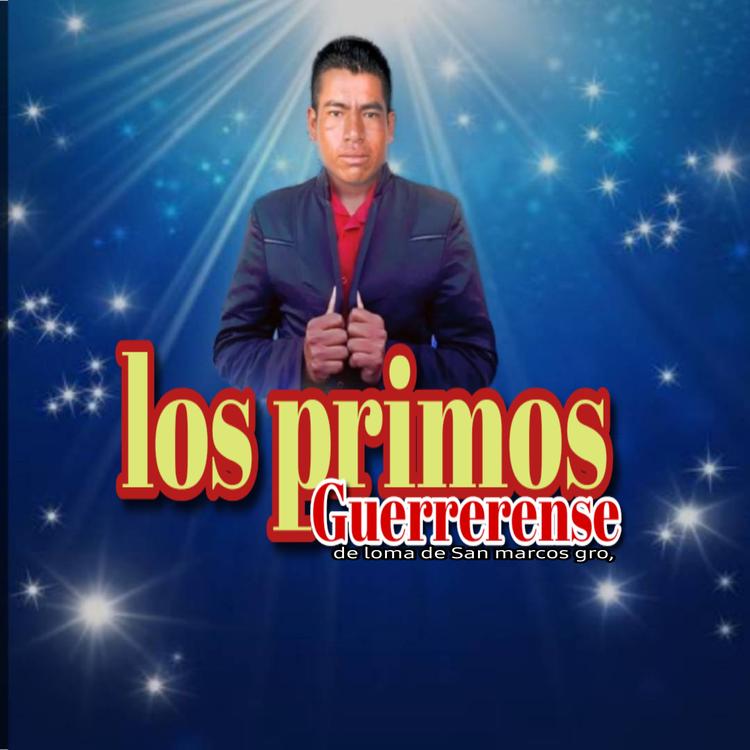 Los Primos Guerrerense's avatar image