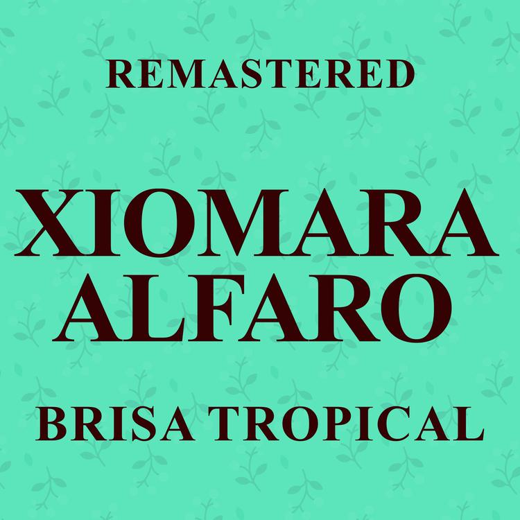 Xiomara Alfaro's avatar image