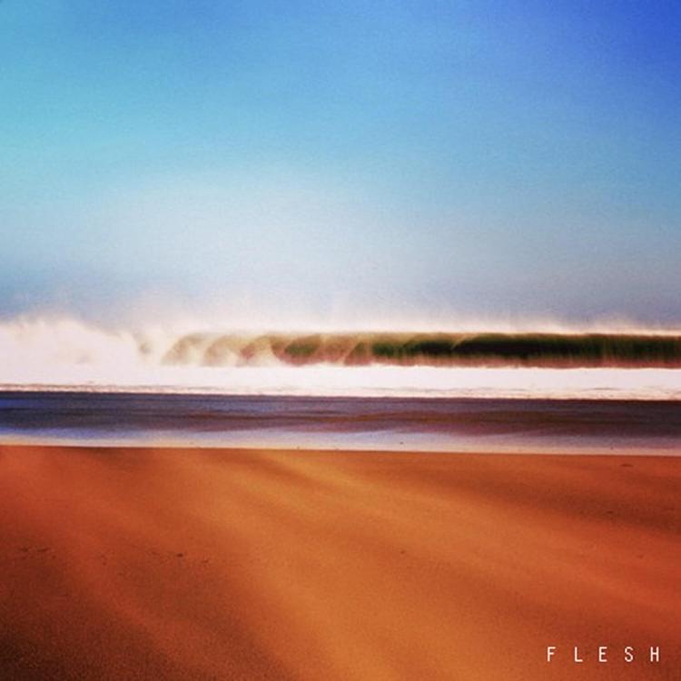 FLESH's avatar image