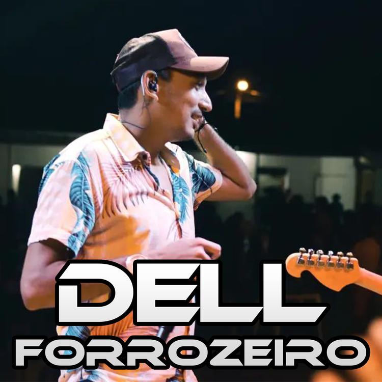 Dell Forrozeiro - DF's avatar image