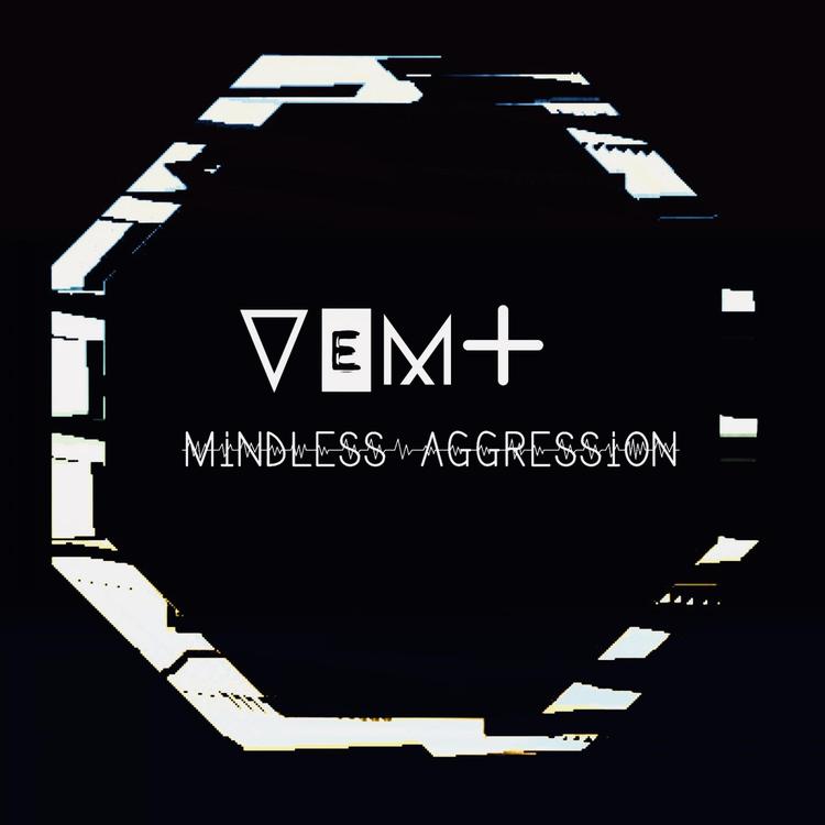 VEMT's avatar image