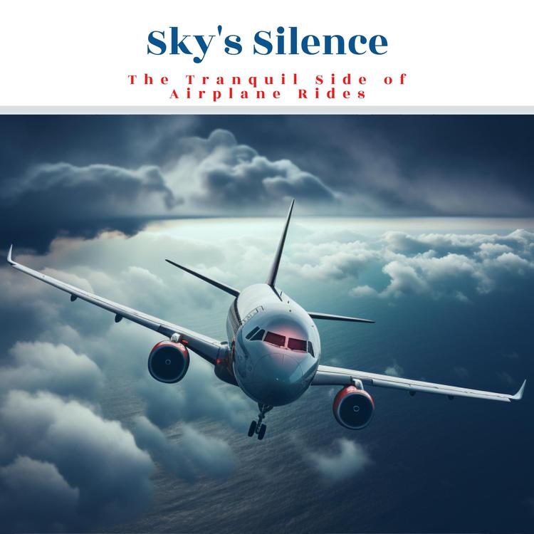 Airplane White Noises's avatar image
