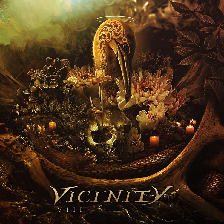 Vicinity's avatar image