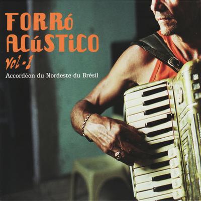 Forró Acústico Vol. 1 - Accordéon du Nordeste du Brésil's cover