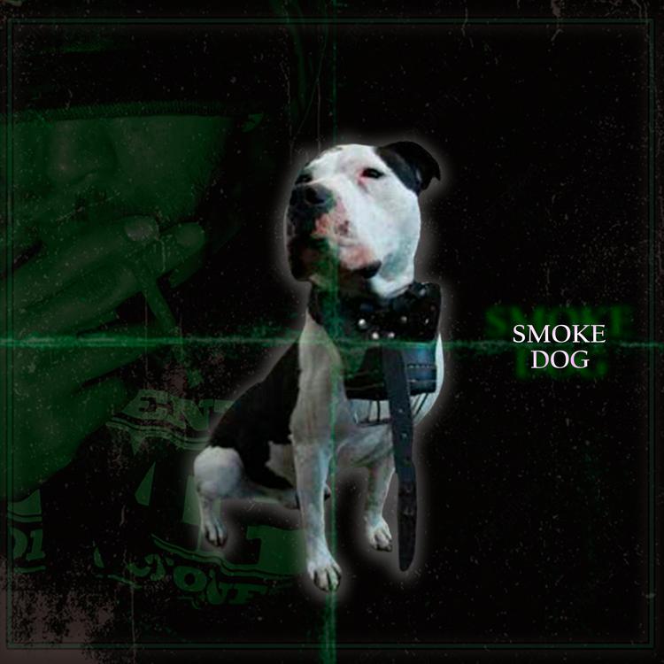 Smoke Dog's avatar image