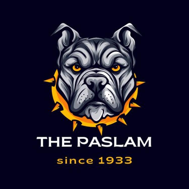 The Paslam's avatar image