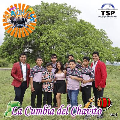 Esta Llorando Mi Pueblo's cover