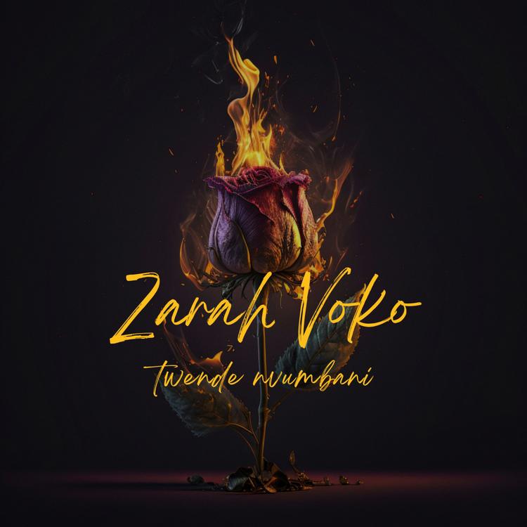 Zarah Voko's avatar image
