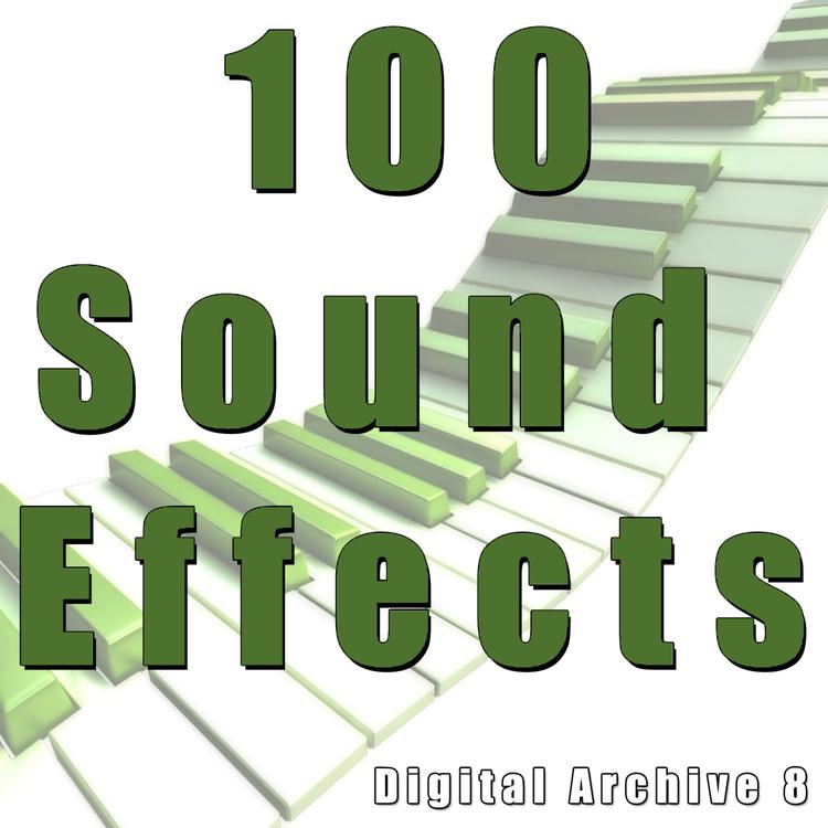 The Digital Sound Effects Group's avatar image