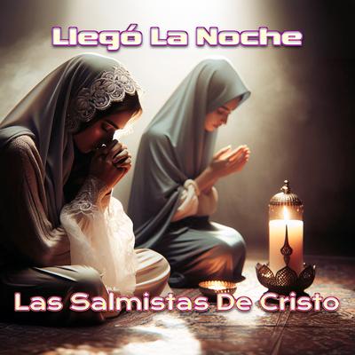 Llegó La Noche's cover