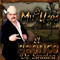 El Bronco De Sinaloa's avatar cover