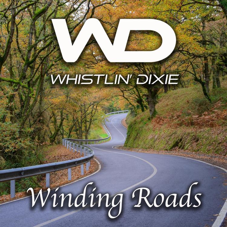 Whistlin' Dixie's avatar image