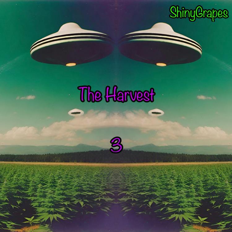 ShinyGrapes's avatar image