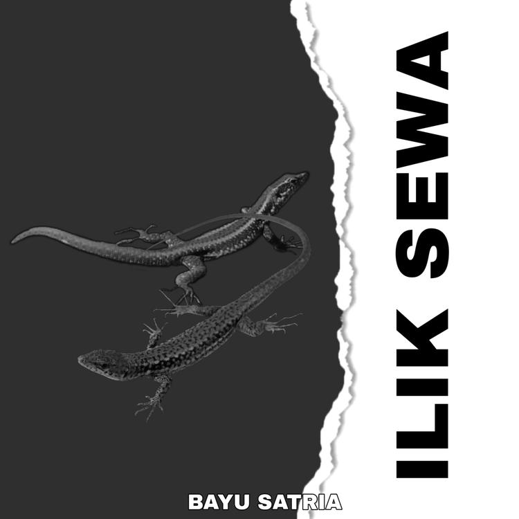 Bayu Satria's avatar image