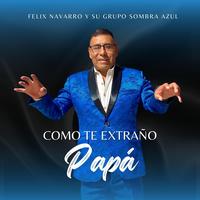 Felix Navarro y Su Grupo Sombra Azul's avatar cover