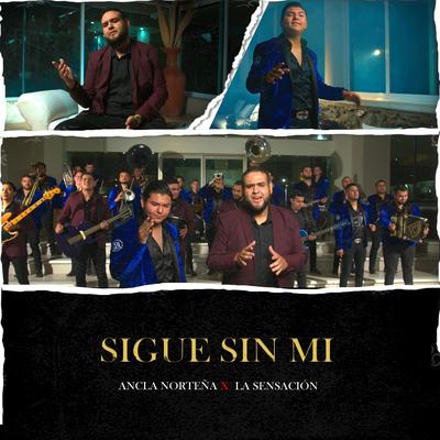 Sigue Sin Mi's cover