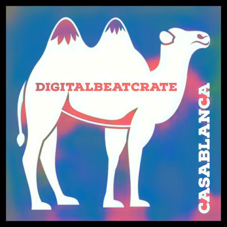 Digital Beat Crate's avatar image