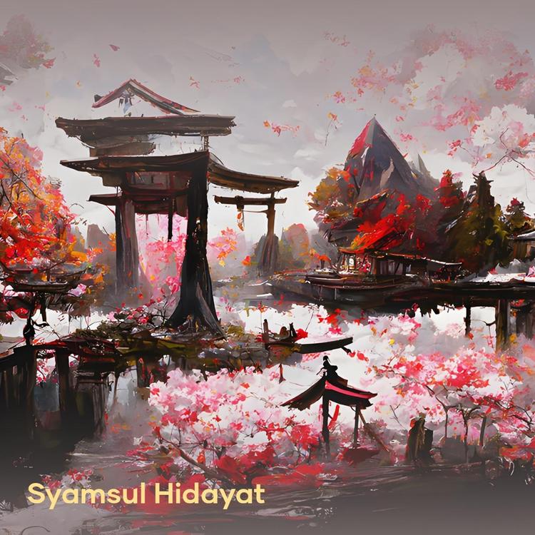 Syamsul Hidayat's avatar image