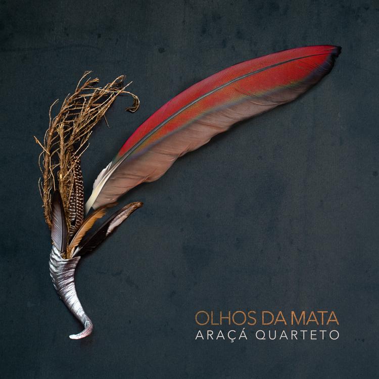 Araçá Quarteto's avatar image