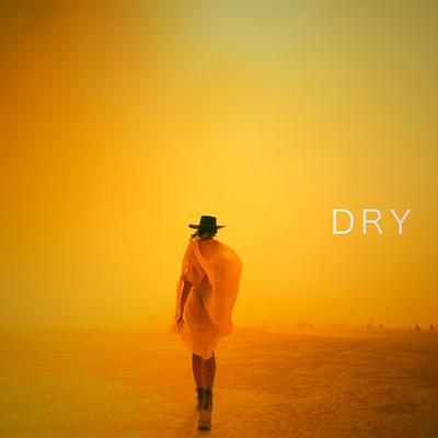 Dry (Burning Man Edit 2024)'s cover