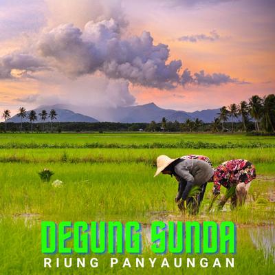 Degung Sunda Riung Panyaungan's cover